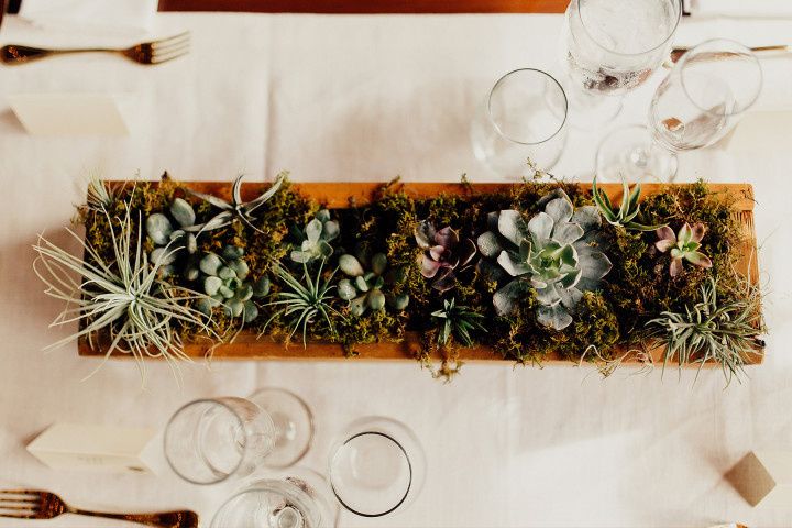 15 Succulent Wedding Décor Ideas for a Desert-Chic Vibe