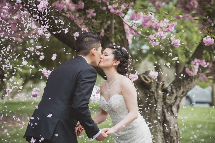 couple covered with cherry blossoms