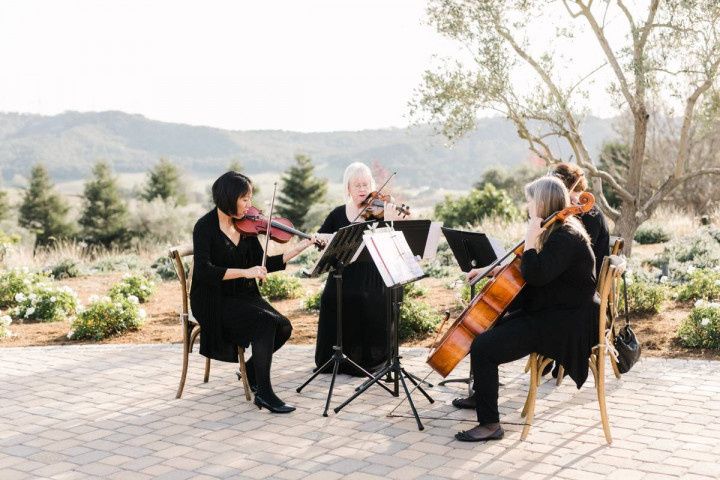 string quartet with violinists & cellist play at outdoor wedding ceremony