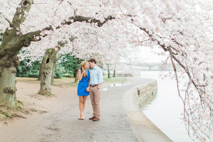 cherry blossom engagement photo 