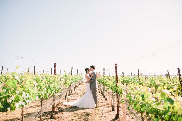 Bride and groom posing in a vineyard