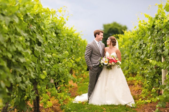 couple among the grapes portrait outdoor vineyard virginia