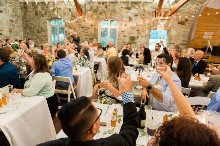 wedding guests toast 