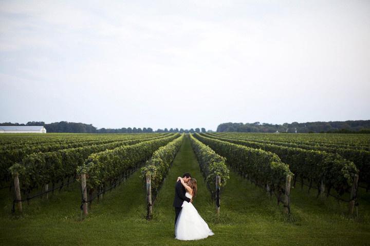 martha clara vineyards