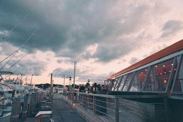 swallow montauk