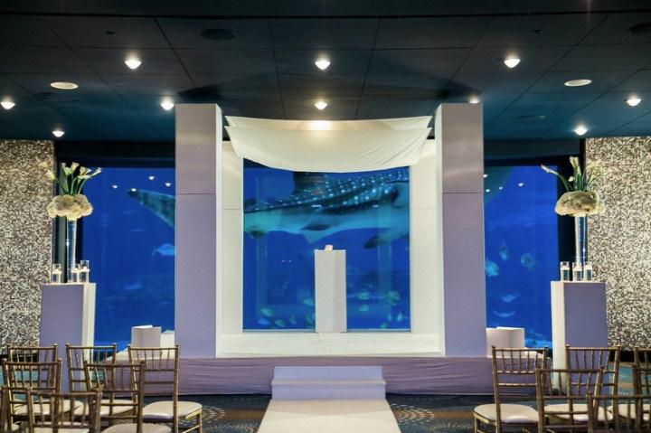 georgia aquarium wedding venue