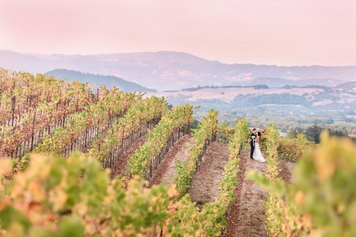 aerial shot of bride and groom posing in the middle of a vineyard with scenic mountain views in the distance