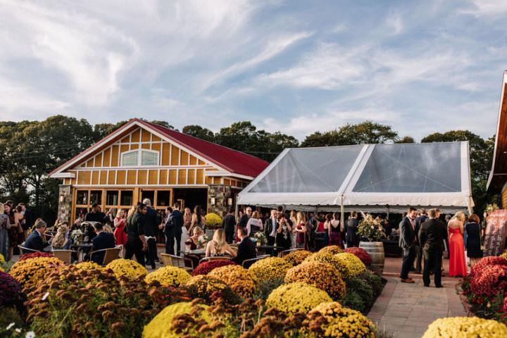 willow creek winery