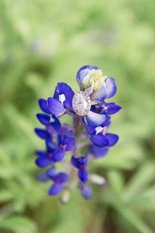 Daria Ratliff Photography