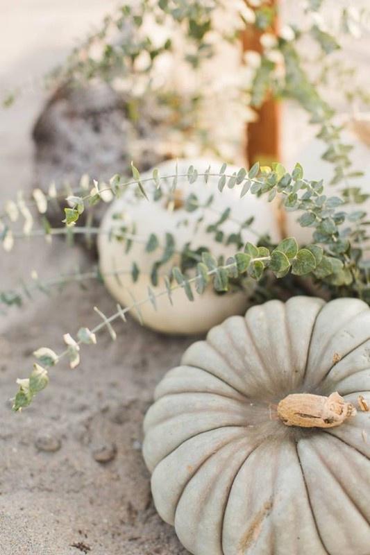 gray and white gourds fall wedding decor