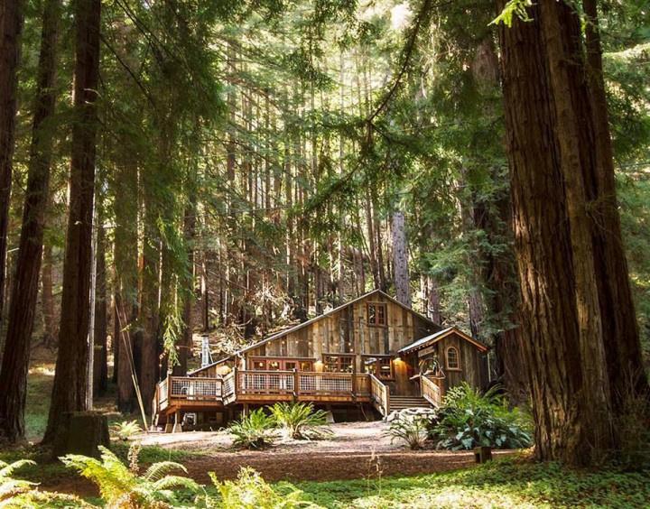 small forest wedding venues california