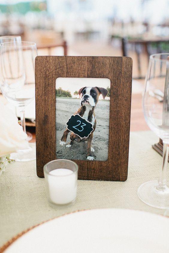 framed dog picture table number