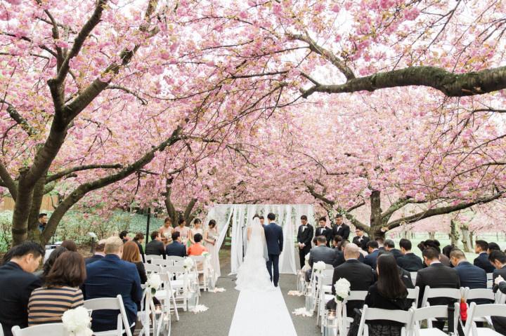 Wedding cherry blossom Trees table Centerpiece tree CT022