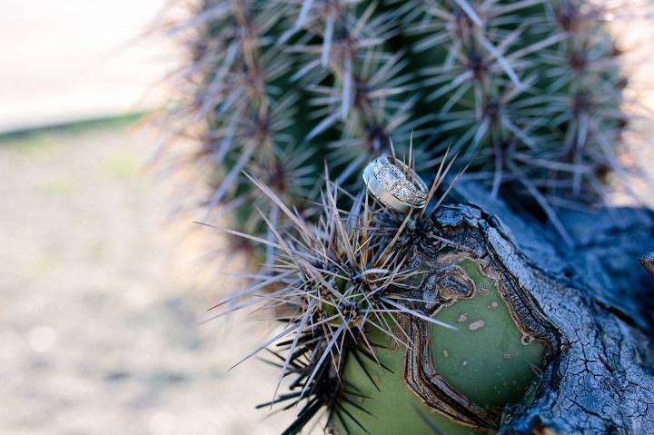 engagement ring display with cactus 