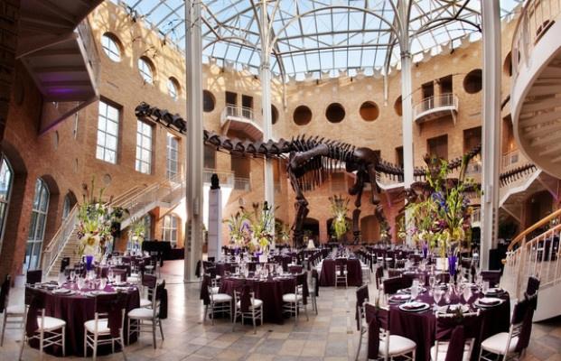 Fernbank Museum of Natural History