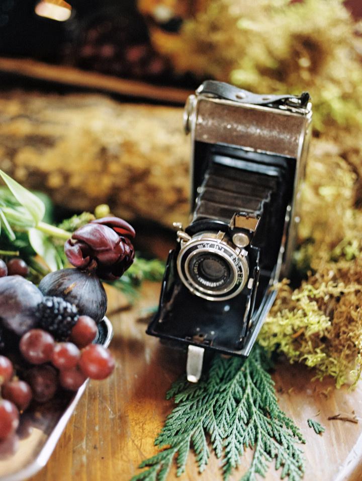 vintage polaroid camera on display with moss and and fruit