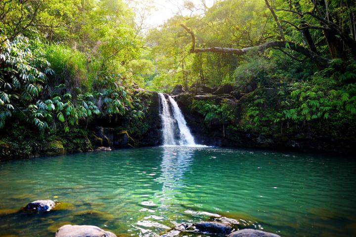 maui honeymoon