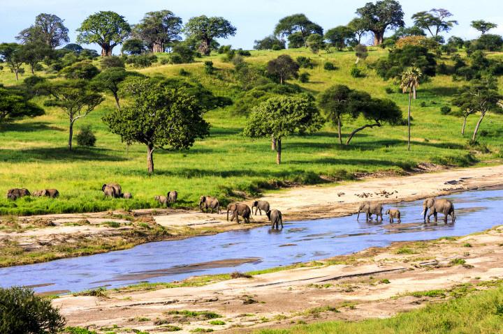 tanzania honeymoon