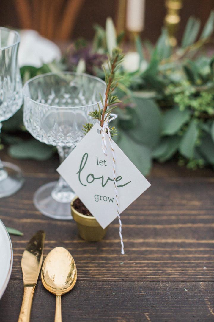 potted plant wedding favor 