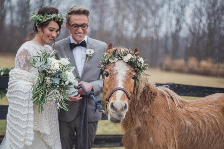 bride and groom posing with farm animals 