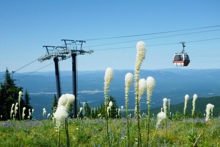 Whitefish Mountain Resort Montana wedding venue 