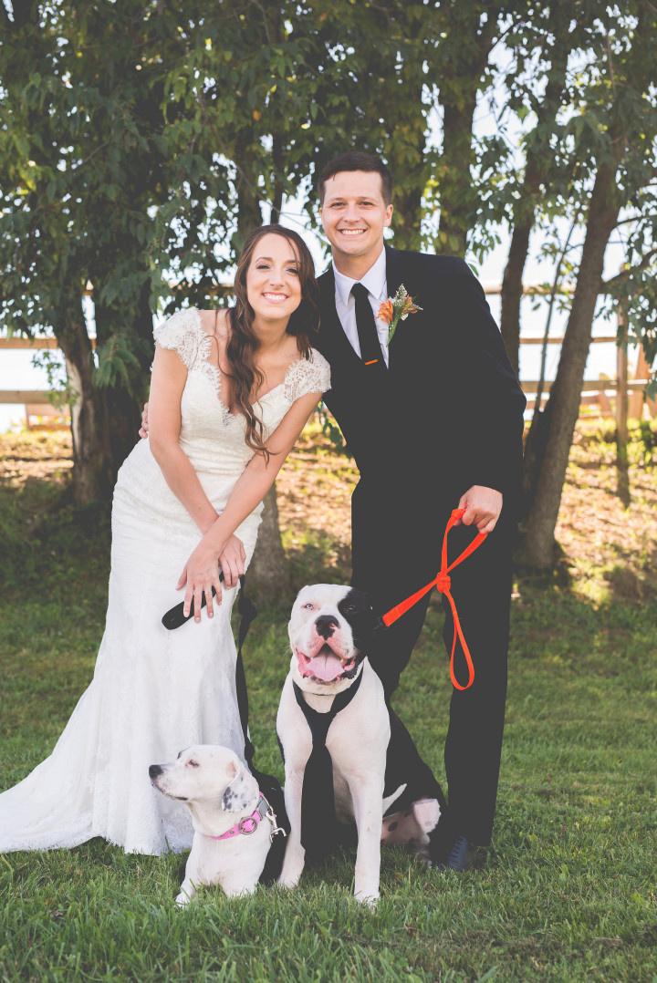 32 Photos That Prove Your Pet Should Be in Your Wedding