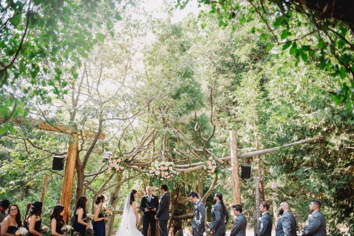 22 Forest Wedding Venues for Couples Who Love the Great Outdoors