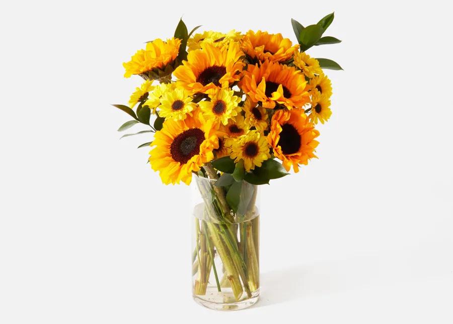 yellow flowers