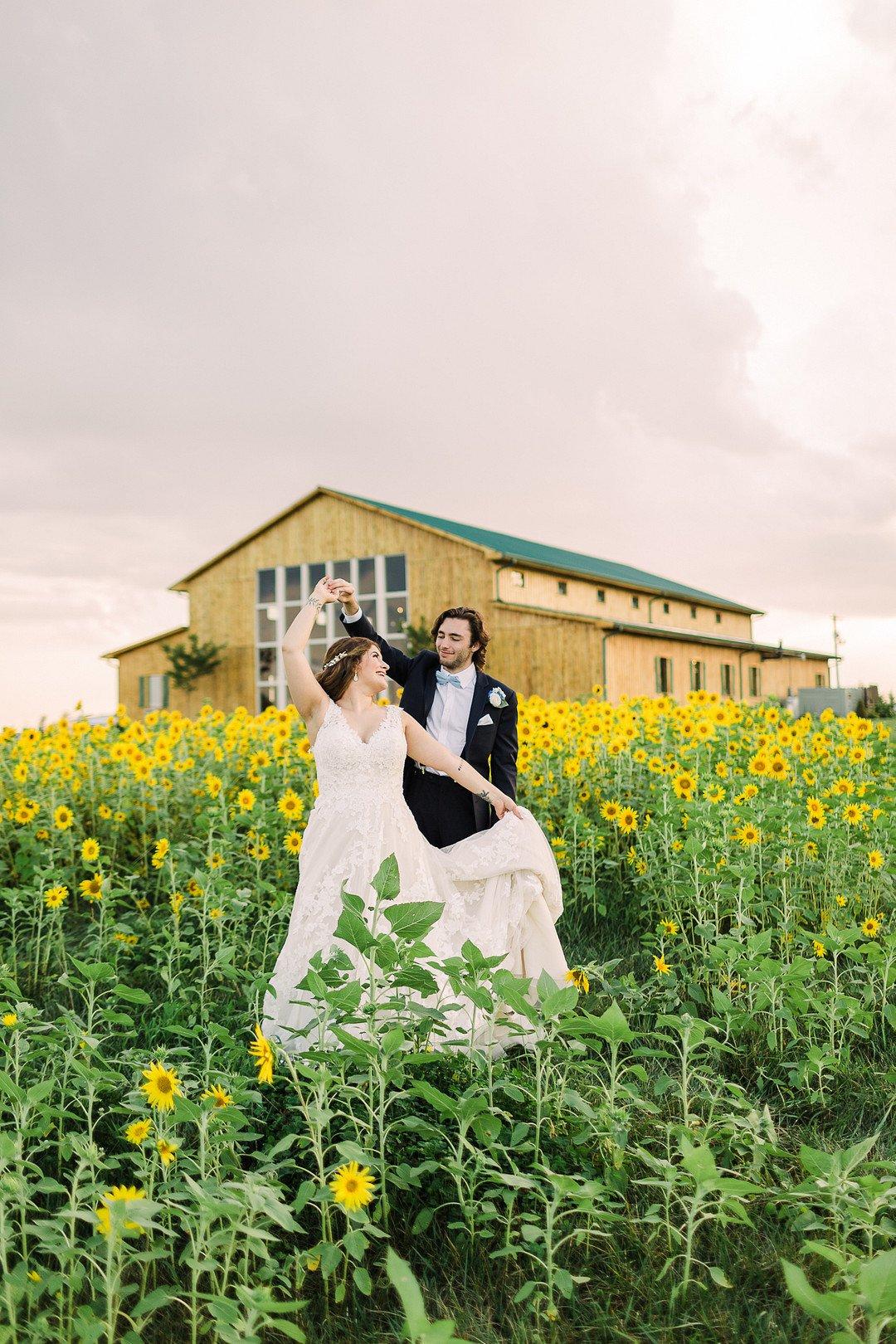 groom twirls bride in a field of sunflowers with barn wedding venue behind them in the distance