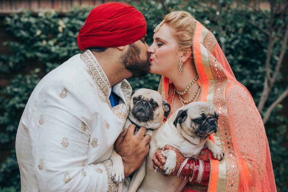 wedding couple holding 2 dogs