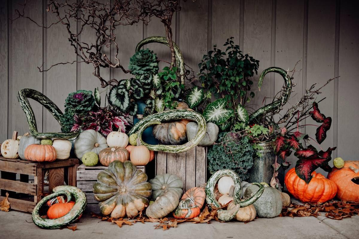 Halloween-Themed Wedding Ideas