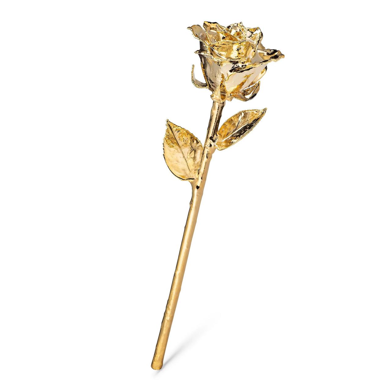 Gold-dipped rose romantic one-year anniversary gift for him or her
