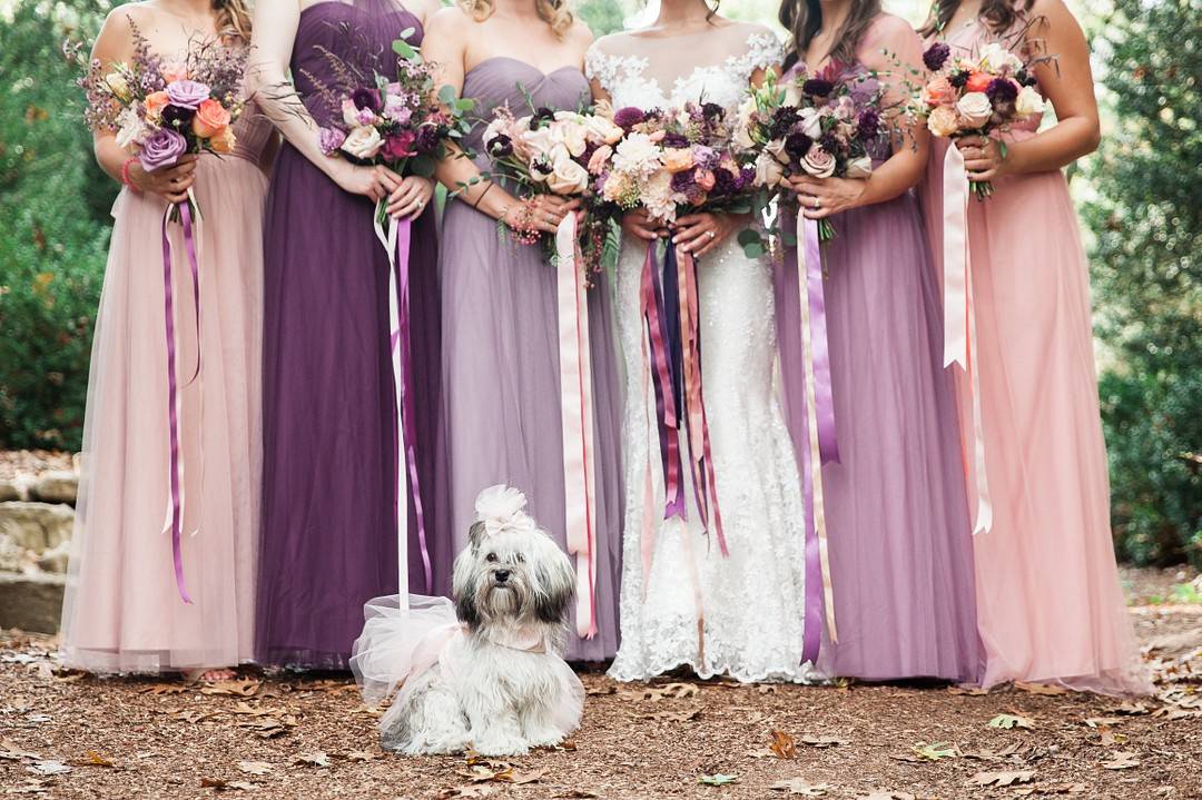 purple outdoor wedding ceremony