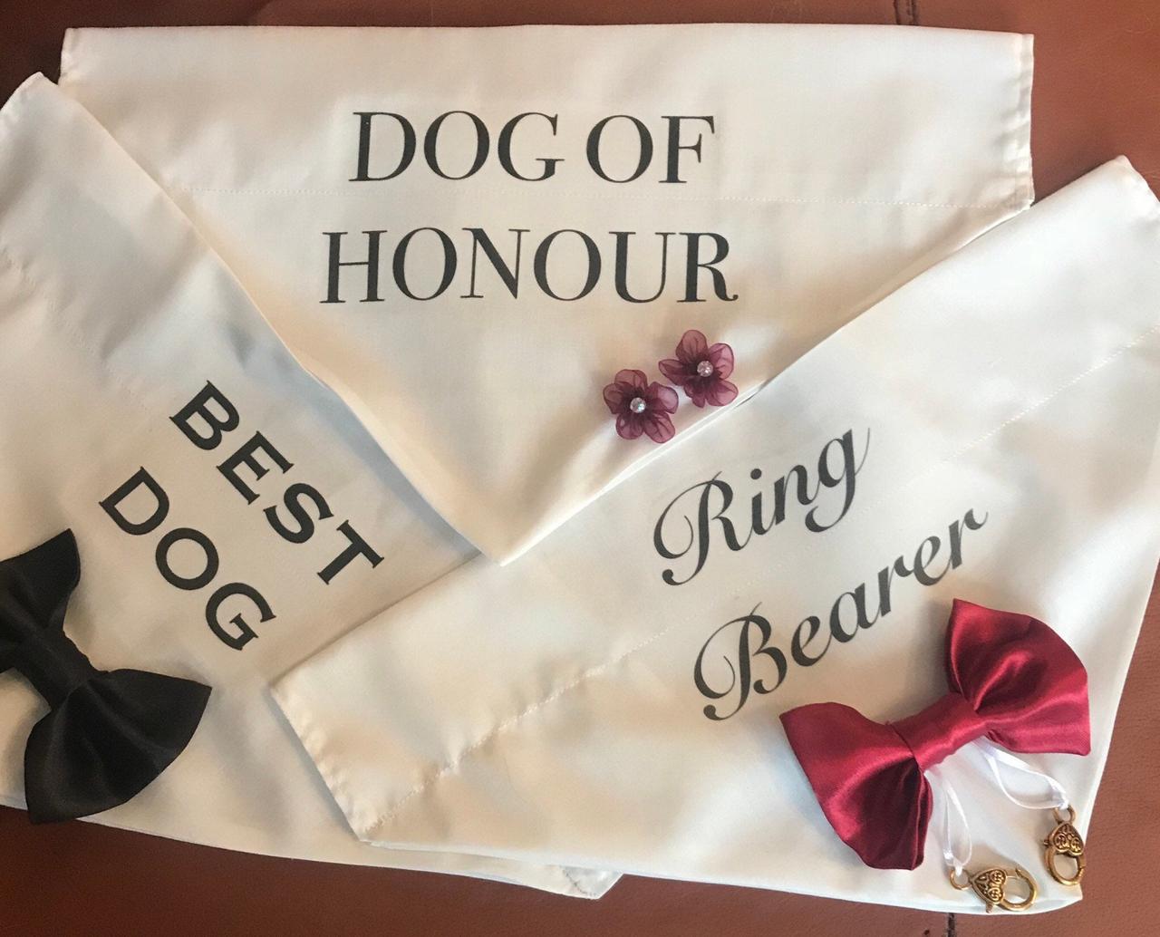 Dog wedding hotsell attire ring bearer