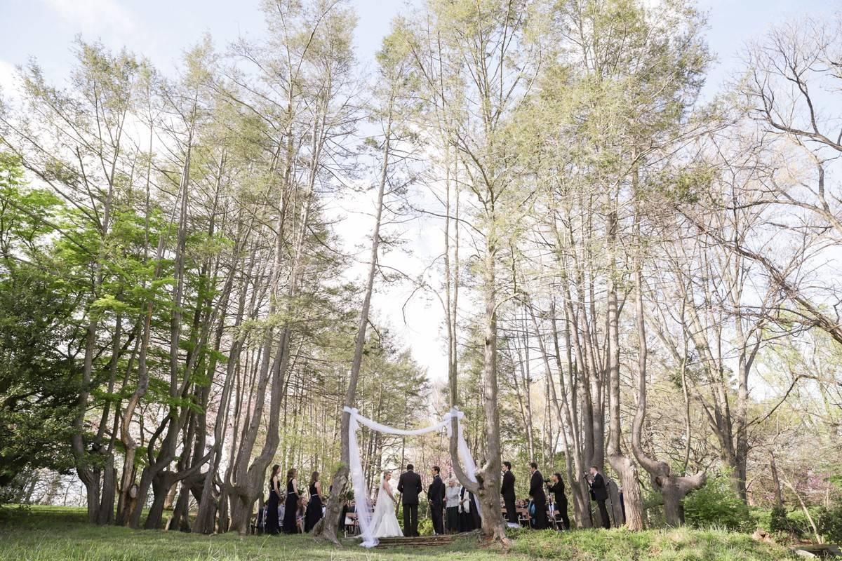 22 Forest Wedding Venues for Couples Who Love the Great Outdoors