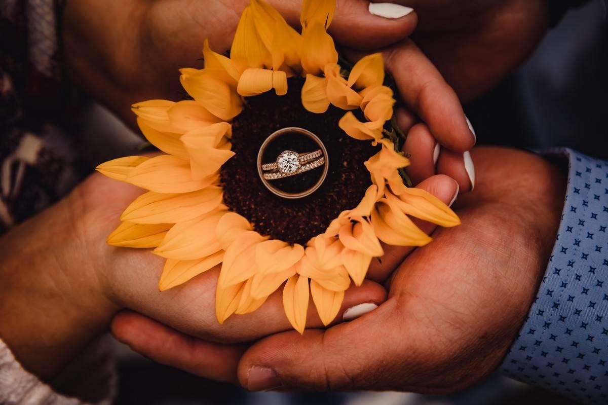 close-up of couple holding a sunflower in their hands with wedding ring and engagement ring in the center of the flower