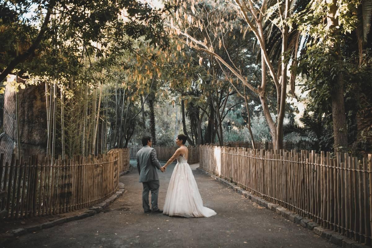 bride and groom walking at sacramento zoo