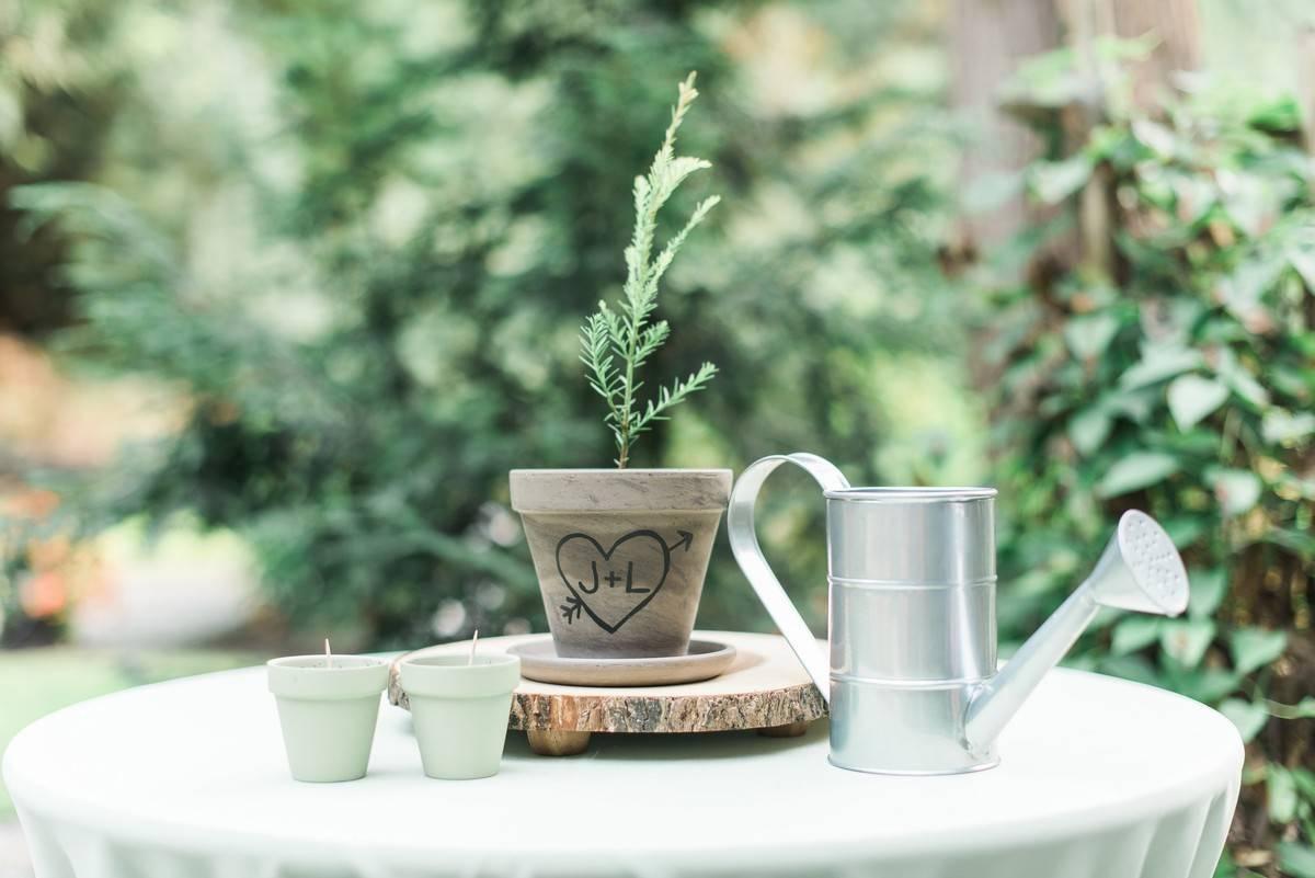 sapling tree in terracotta pot decorated with couple's initials inside a heart