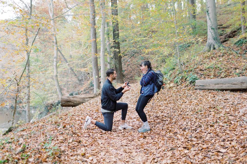 outdoor hiking proposal