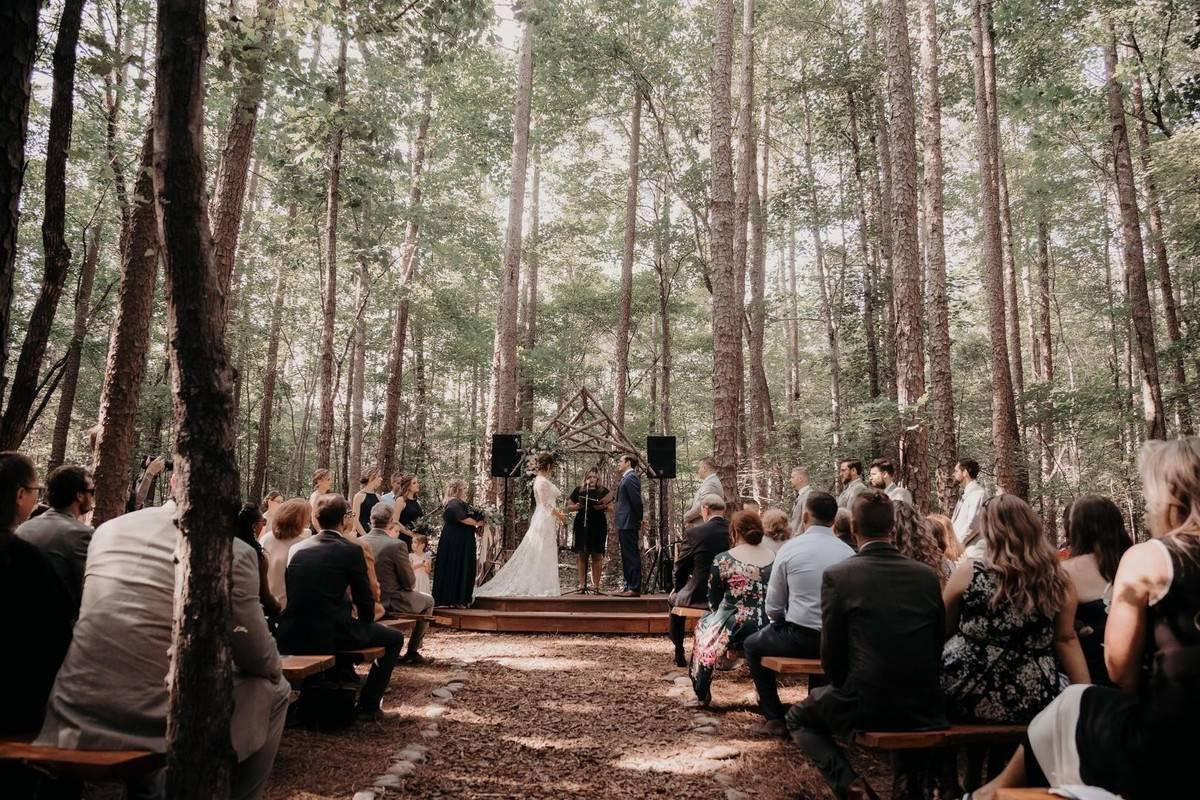 22 Forest Wedding Venues for Couples Who Love the Great Outdoors
