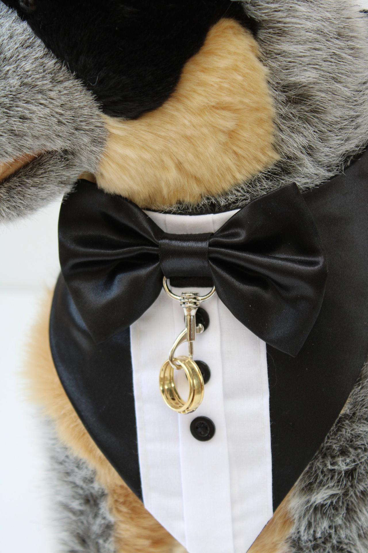 The Cutest Dog Wedding Attire for Your Furry BFF