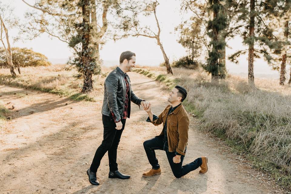 LGBTQ+ couple outdoor proposal
