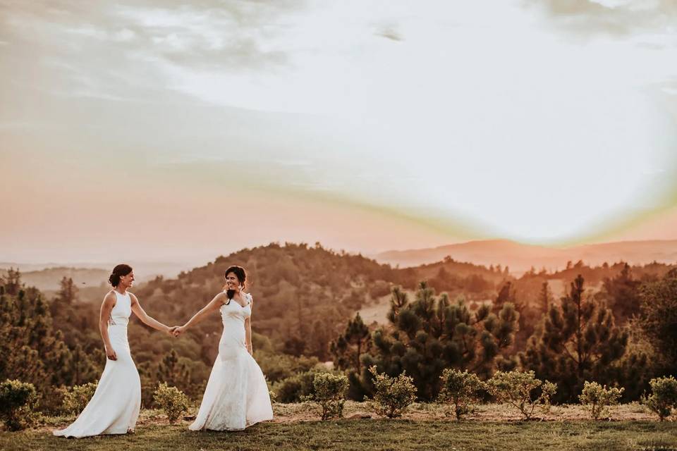 two brides holding hands with mountain backdrop