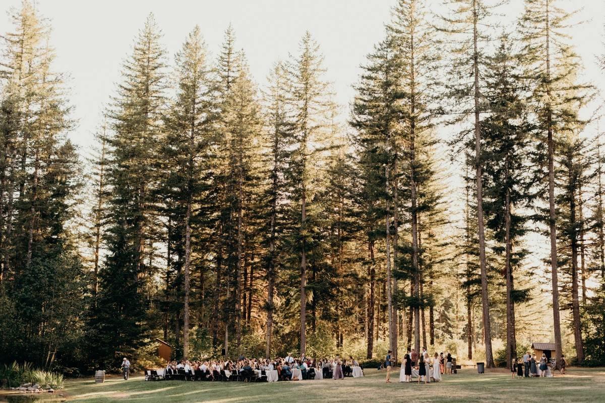 wedding ceremony in outdoor forest setting