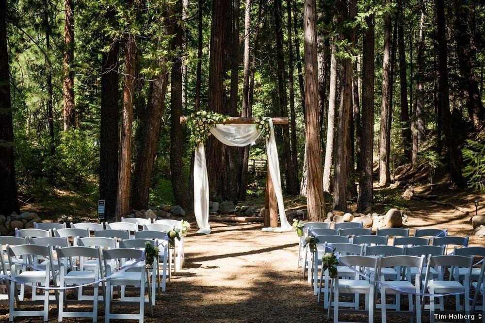 22 Forest Wedding Venues for Couples Who Love the Great Outdoors