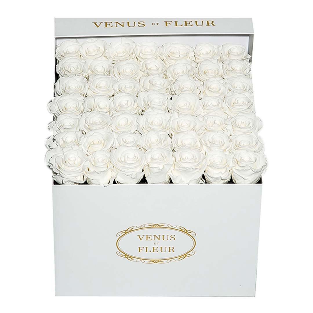 White preserved roses in a white box