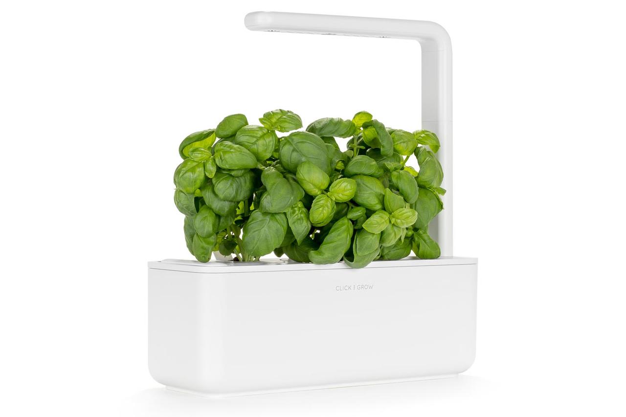 click and grow smart garden 3 for best man gift ideas