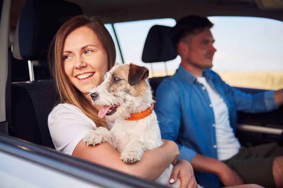 couple riding in car with dog