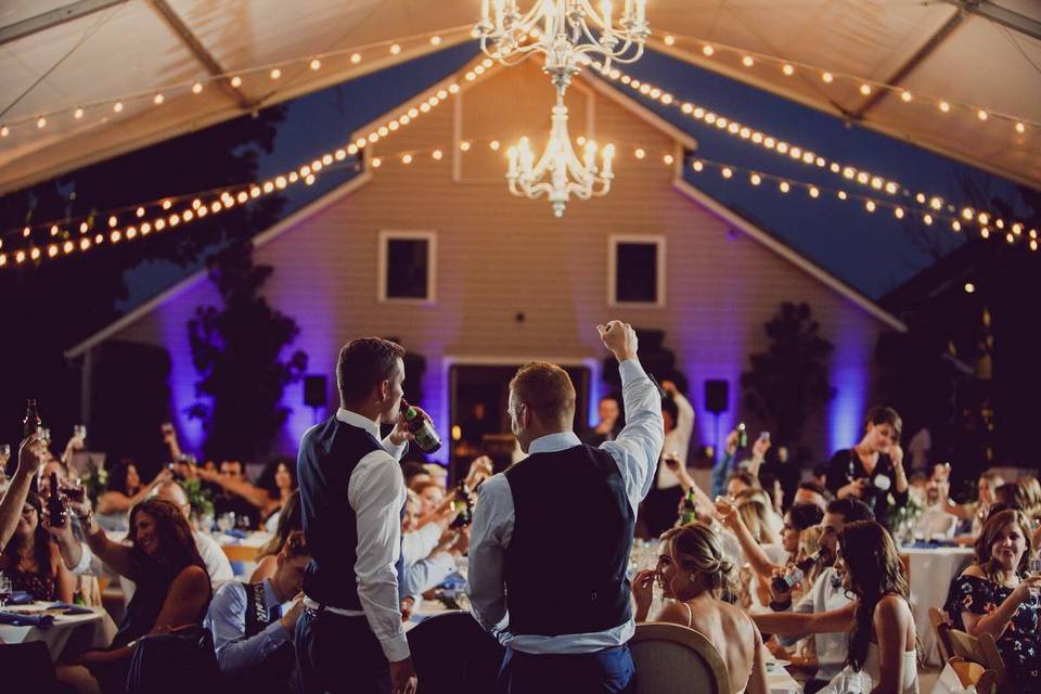 guests toasting at wedding