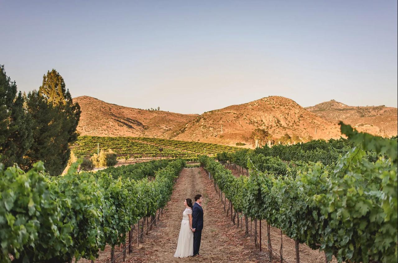 bride and groom with mountain backdrop